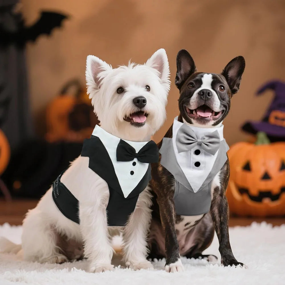 Halloween Christmas Dog Vest Tuxedo Harness Adjustable Tuxedo with Bow Tie for Male Dogs Wedding Party Suit Pet Costume Outfits
